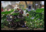 Portmeirion -09-06-2014 - Bogdan Balaban